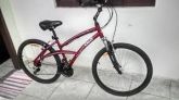 bicicleta feminina